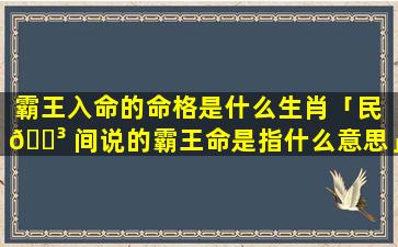 霸王入命的命格是什么生肖「民 🌳 间说的霸王命是指什么意思」